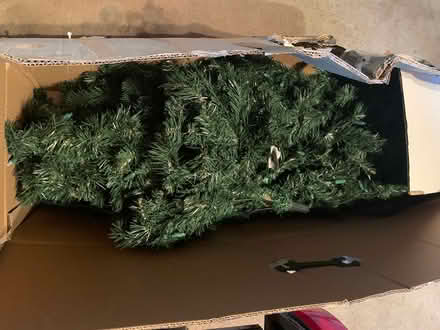 Photo of free xmas tree 7 ft (South West Mississauga) #2