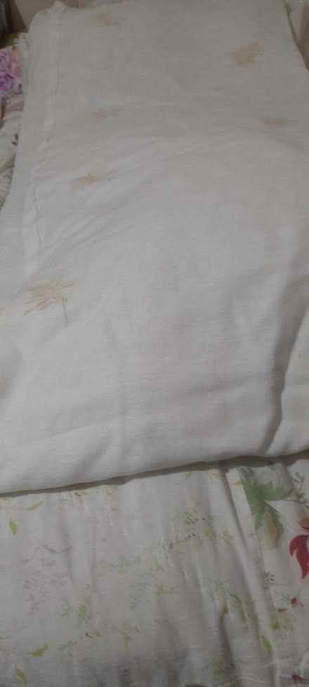 Photo of free Pair Long cream curtains (Wake Green B13) #1