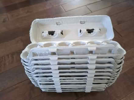 Photo of free 13 egg cartons (Greenwood Rd, Winchester) #2