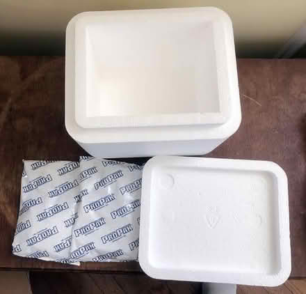 Photo of free two styrofoam coolers and 4 reusable gel ice packs [20886] #1