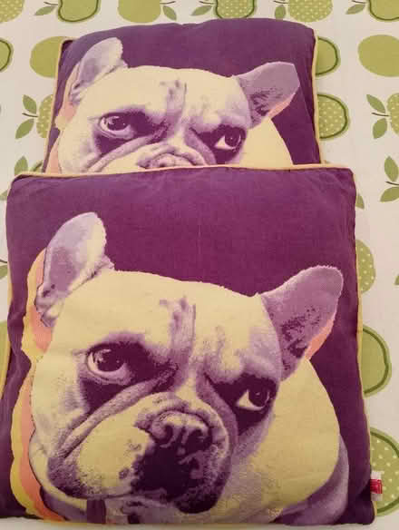 Photo of free Pair of French Bulldog cushions (Harrogate HG2) #1