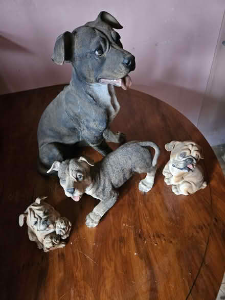 Photo of free Dog ornaments (Ash) #1