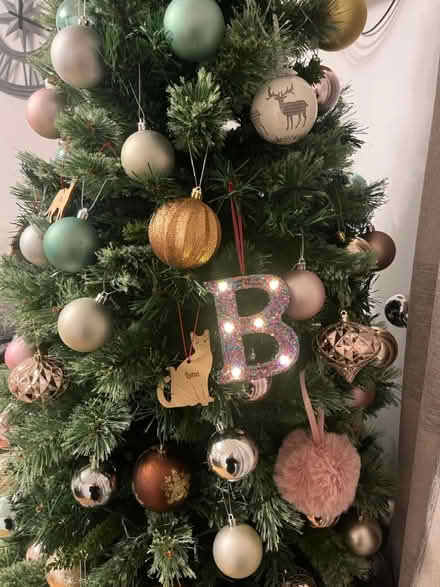 Photo of free 6ft Christmas Tree and lights (AL10) #2