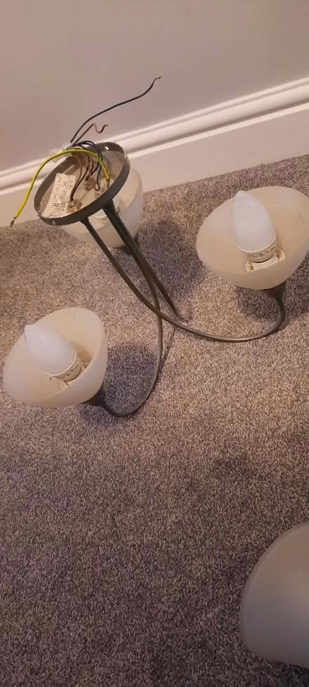 Photo of free Lighting (Hereford, Belmont) #2
