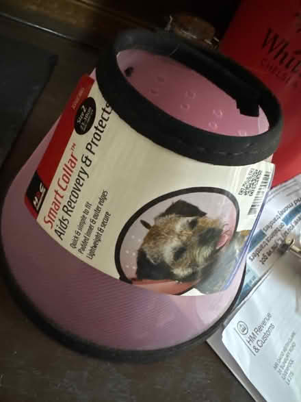 Photo of free Pet Cone (Anfield) #1