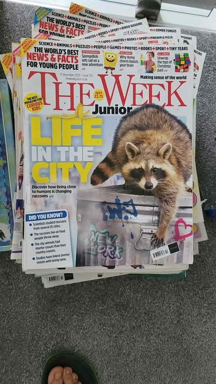 Photo of free Kids books and magazines (SM5) #2