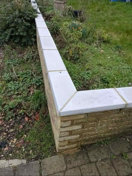 Photo of free Brick slips and coping (Fiveways) #4