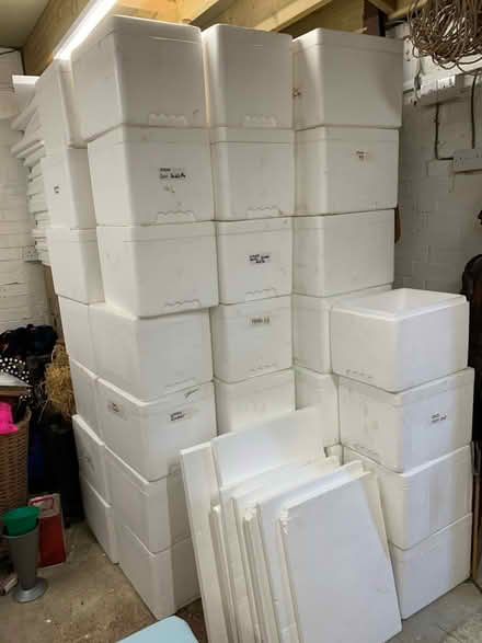 Photo of free Polystyrene boxes (Letchworth SG6) #1