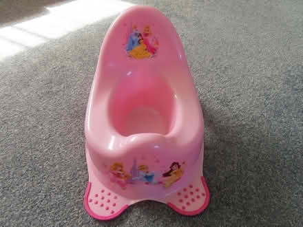 Photo of free Baby potties. (Hawarden CH5) #2
