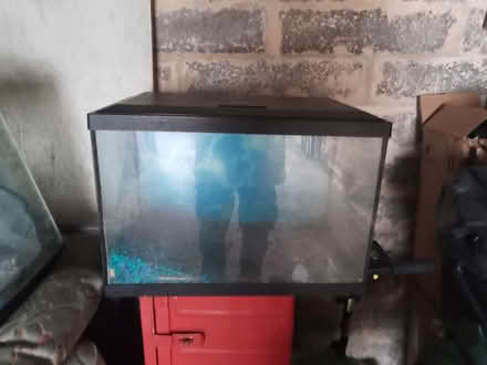 Photo of free Two small fish tanks (Kingsway) #2