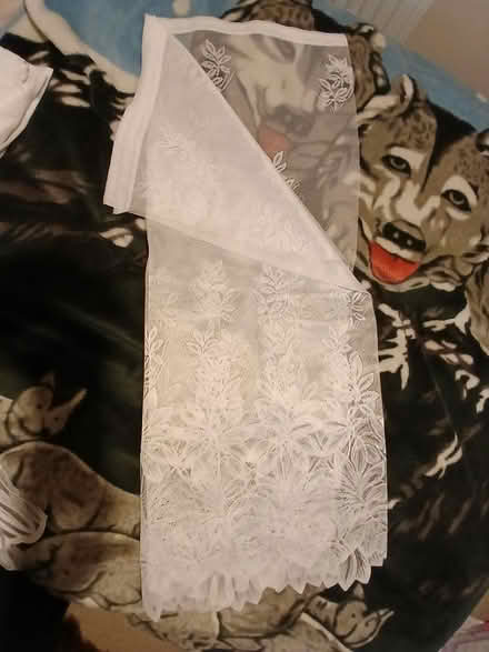 Photo of free Net curtain (Henlow SG16) #1