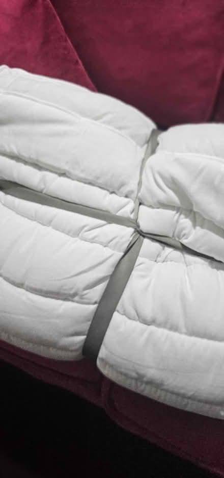 Photo of free Double Silent night Mattress Topper (Barmston NE38) #3