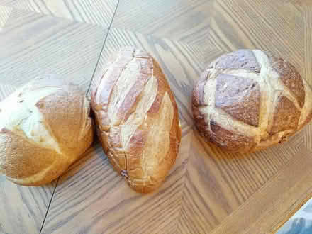 Photo of free 20 loaves of good bread (Ann Arbor near Hillside Terr.) #1
