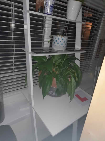 Photo of free Ladder desk (Woodgate B32) #2