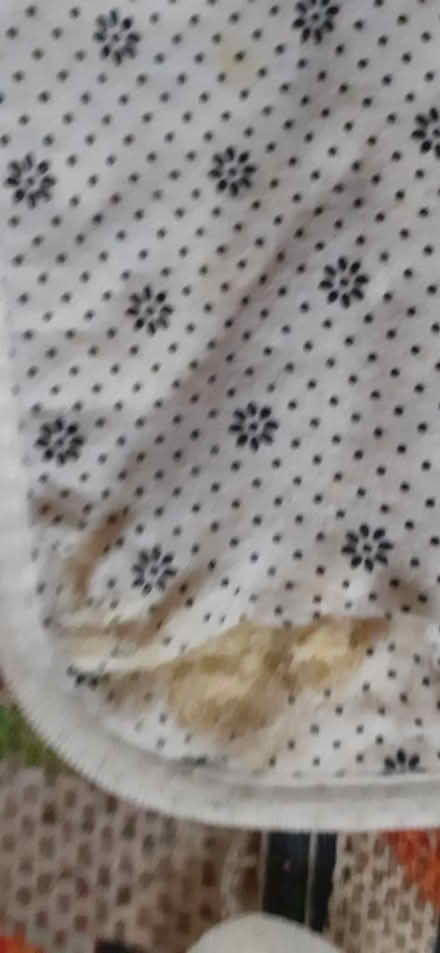 Photo of free Kitchen runner and mat (Enfield EN2) #3