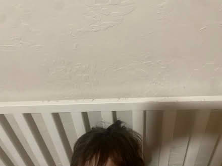 Photo of free Toddler bed (Linden St) #3