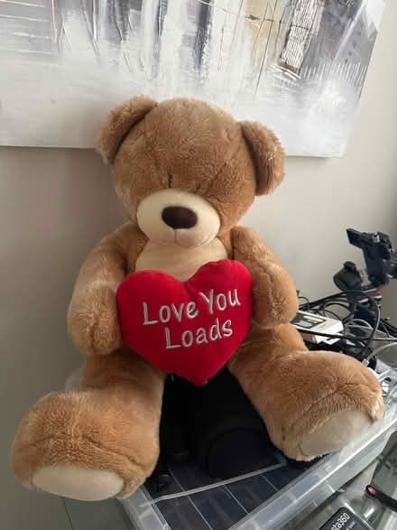 Photo of free Teddy bear (Borehamwood) #1