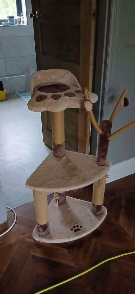Photo of free Cat scratching post (Raymond's Hill EX13) #3