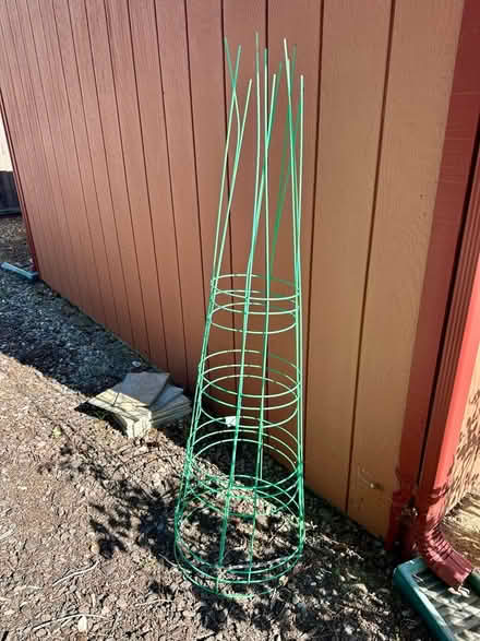 Photo of free Tomato Cage (Saratoga) #1