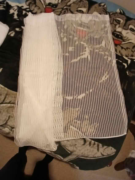 Photo of free Weighted Net curtain (Henlow SG16) #1