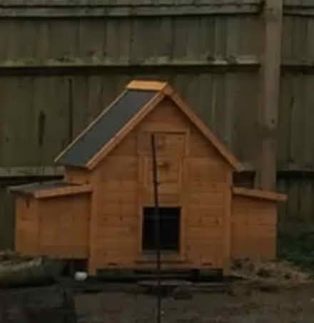 Photo of free Chicken coup - houses 6 girls (North Dean HP14) #2