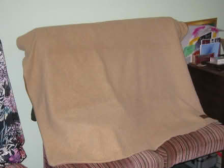 Photo of free Duvet Cover for Large Dog (Springfield, Chelmsford, CM1) #1