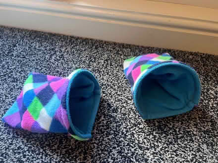 Photo of free Guinea pig sleeping blankets (Highfield S2) #1