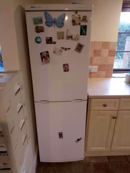 Photo of free freestanding upright white Bosch fridge freezer (Hulver Street NR34) #2