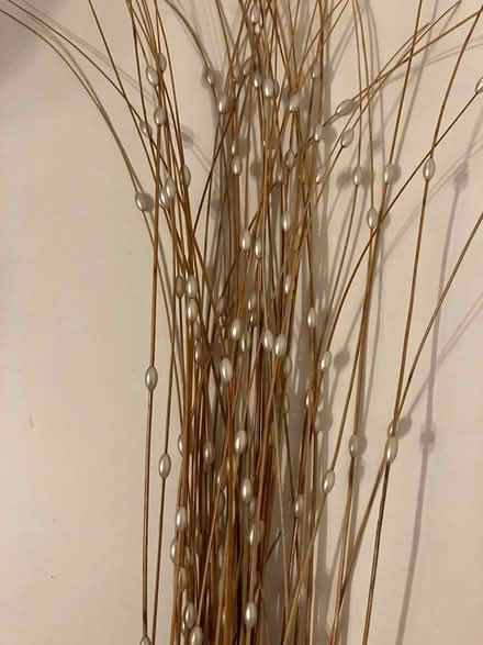 Photo of free Dried Flower/Grasses-Type Decorations (Bilton HG1) #1