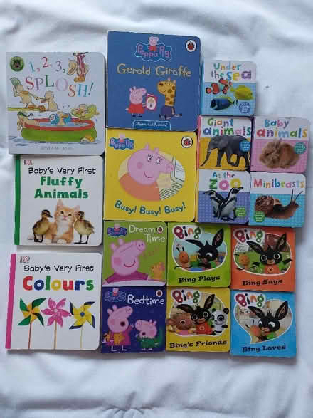 Photo of free Children's board books (Sprowston NR7) #1