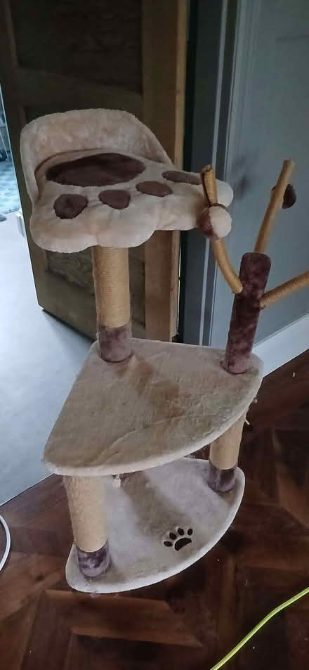 Photo of free Cat scratching post (Raymond's Hill EX13) #2