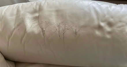 Photo of free Cream leather sofa (Lytchett Matravers) #4