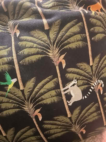 Photo of free Cushion (WA4) #3