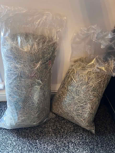 Photo of free Hay for small pets (Highfield S2) #1