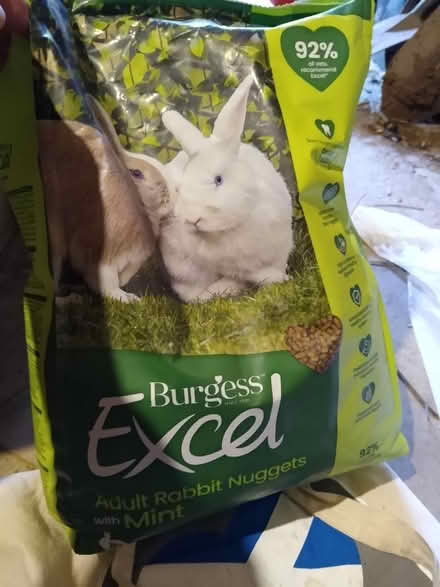 Photo of free Rabbit food (Abergavenny NP7) #1