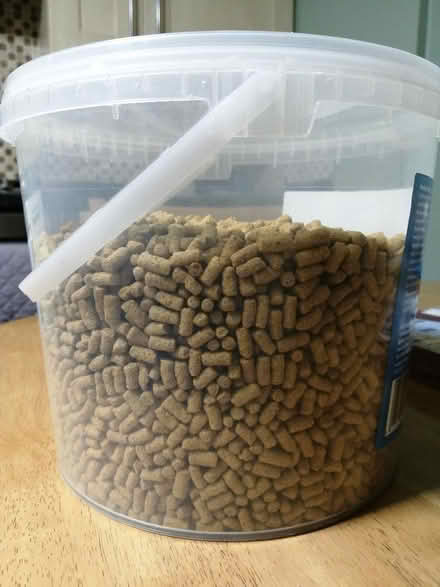 Photo of free Pond fish food (Rainham Mark ME8) #2