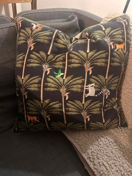 Photo of free Cushion (WA4) #1