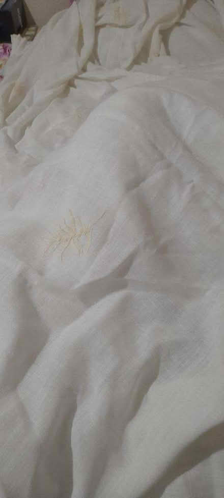 Photo of free Pair Long cream curtains (Wake Green B13) #2
