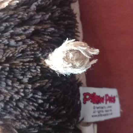 Photo of free Pillow pet (Wyke, BD12) #2
