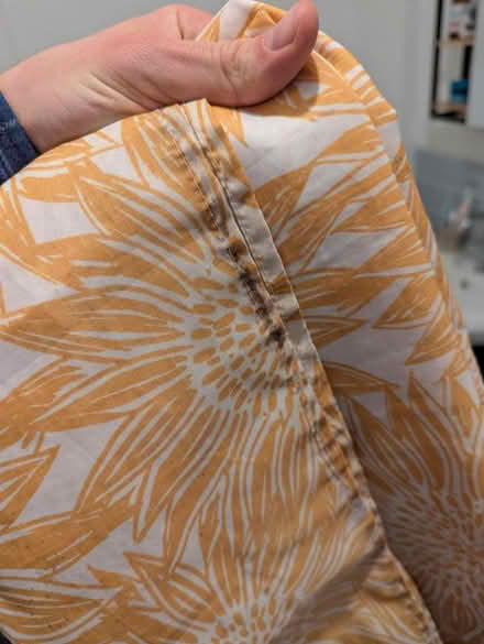 Photo of free Shower curtain (Walkley, S6) #2