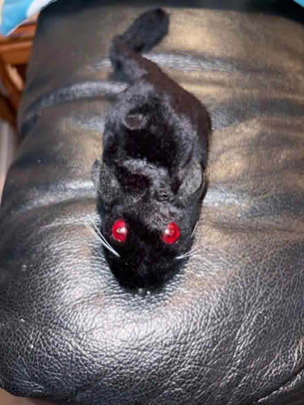 Photo of free Toy battery operated rat (Westbury BA13) #2