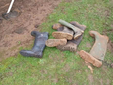 Photo of free 4 pairs of wellies (taylor avenue nn3) #1