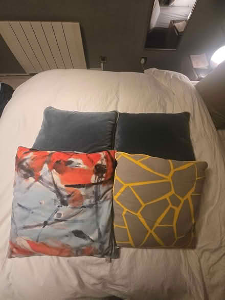 Photo of free Four cushions (SE15 6DU) #1