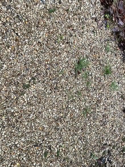 Photo of free garden gravel (Bracknell RG12) #2