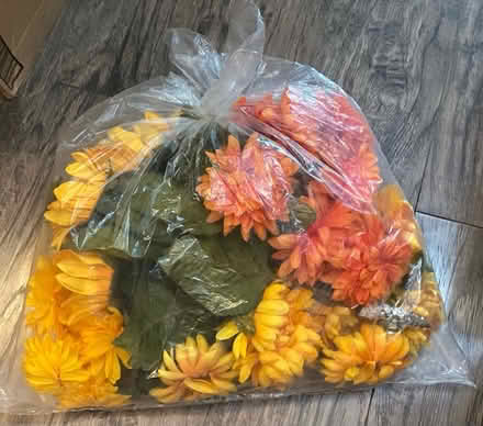 Photo of free Artificial flowers (M2N 7L7) #1