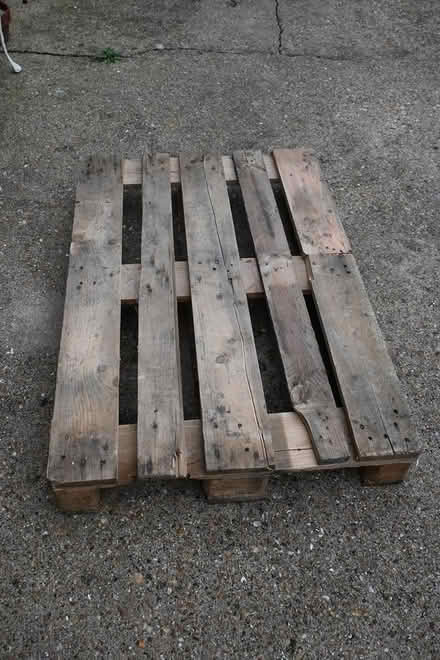 Photo of free Wooden Pallet (Wistow) #1