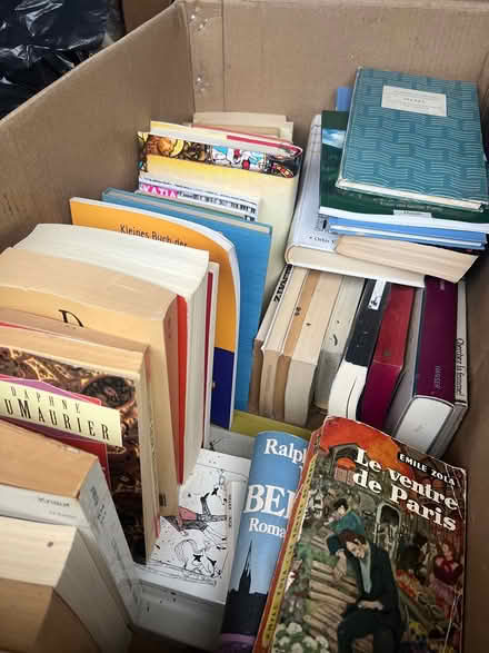 Photo of free Box of books in German (Ludgershall HP18) #1