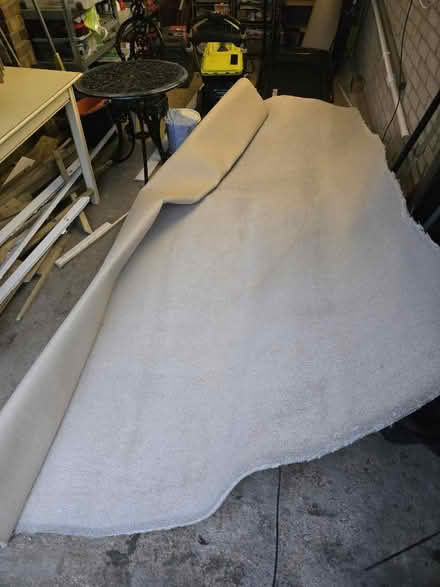 Photo of free Carpet beige (Swallownest S26) #3