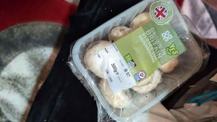 Photo of free Mushrooms (BD22) #1