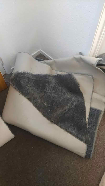 Photo of free Rug (Bannockburn FK7) #4